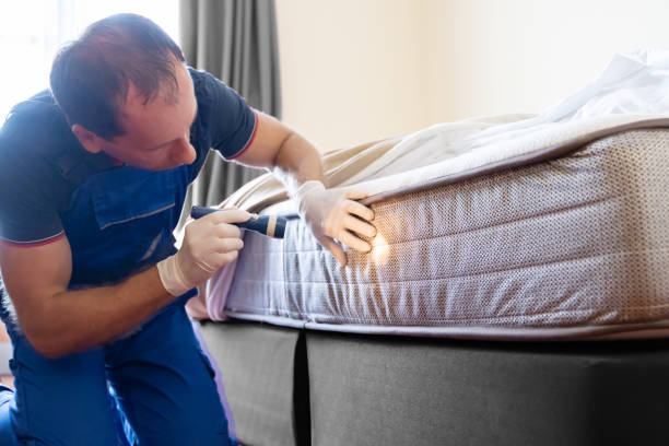 Best Fumigation Services  in Taylor, AZ